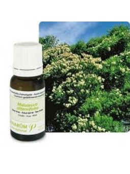 Tea tree bio Huile essentielle 10ml - Aromathérapie Pranarom