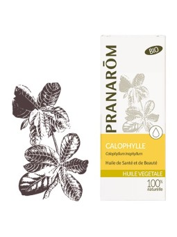 Calophylle bio Huile végétale 50ml - Aromathérapie Pranarom