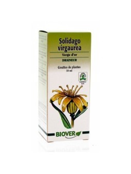 Verge d'or bio Gouttes de plantes - Confort urinaire Biover
