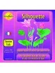 Silhouette Minceur 30 fioles PhytoAura