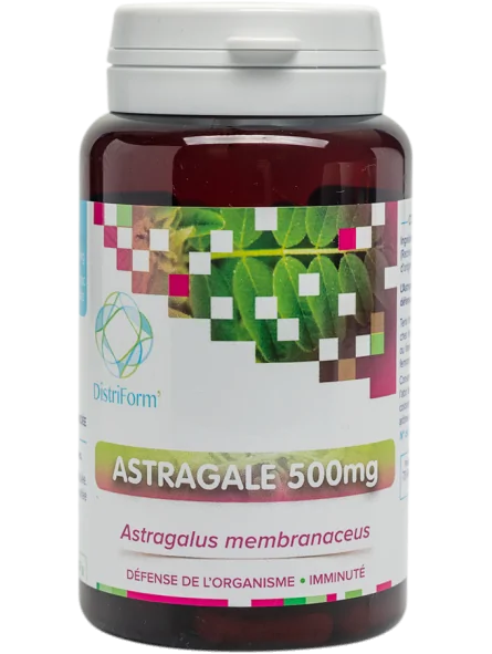 Astragale 500mg Système immunitaire - Distriform'